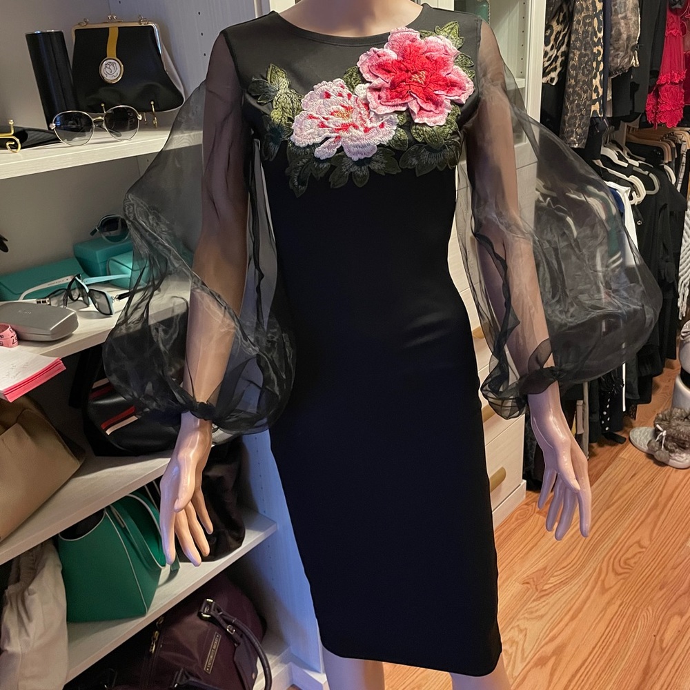 Black Evening dress with embroidered detail.